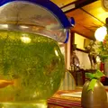 うぶ出し屋 ほうきの写真_72570