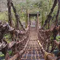 奥祖谷二重かずら橋の写真_72955
