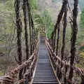 奥祖谷二重かずら橋の写真_72956
