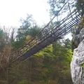 奥祖谷二重かずら橋の写真_72961