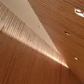 森の光教会の写真_72964