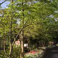 古川親水公園の写真_73498