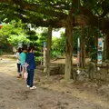柏島の写真_73613