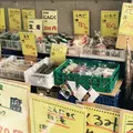 野菜の写真_73720