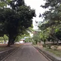総持寺の写真_73787
