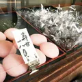 清水の写真_74017