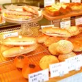 木もれびの写真_74200
