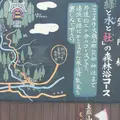 大嶽山那賀都神社の写真_74764