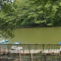 千鳥ヶ淵の写真_74772