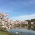 花博記念公園鶴見緑地の写真_74773