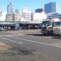 東京都中央卸売市場築地市場の写真_75019