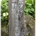 美里の写真_7509