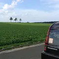 コッタロ湿原展望台の写真_75116