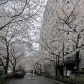 貨幣博物館の写真_751489