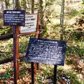 タウシュベツ橋梁展望台の写真_75184