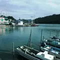 浜名湖の写真_7519