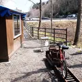 森のトロッコエコレールの写真_75195