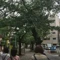 西小山駅の写真_75313