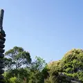高山城跡の写真_75543