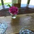 農カフェｈａｋａｒｉの写真_75787