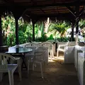 Pani Paniの写真_75869