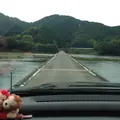 佐田沈下橋の写真_75947