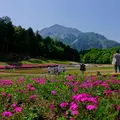 羊山公園の写真_76009
