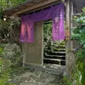 北鎌倉 紫 ゆかりの写真_764178