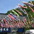 袋田の滝の写真_76493