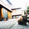 ひがし茶屋街の写真_76701