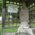 川に挟まれた水の町「郡上」の写真_7671