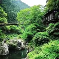 鳩ノ巣渓谷の写真_76737