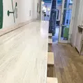 フロレスタ高円寺店の写真_76838