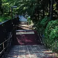 いろは坂の写真_77053