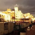 桃園川緑道の写真_77255