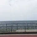江ノ電の写真_77443