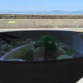 上戸うどん店の写真_77515