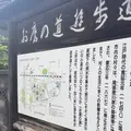 お鷹の道・真姿の池湧水群の写真_77668