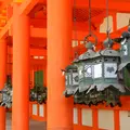 春日大社の写真_7768