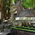 春日大社の写真_7770