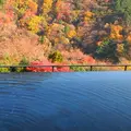 箱根吟遊の写真_7807