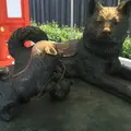 水天宮の写真_78144