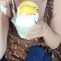【閉業】おまち堂の写真_78248