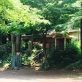 ブルースカイコーヒーの写真_78501