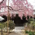 法金剛院の写真_78537