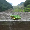 浜野浦の棚田の写真_7858