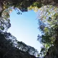 堂ケ島の写真_78604