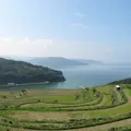 土谷棚田の写真_7862