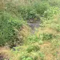 都立野川公園の写真_78768