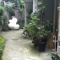 神楽坂てまめの写真_78806